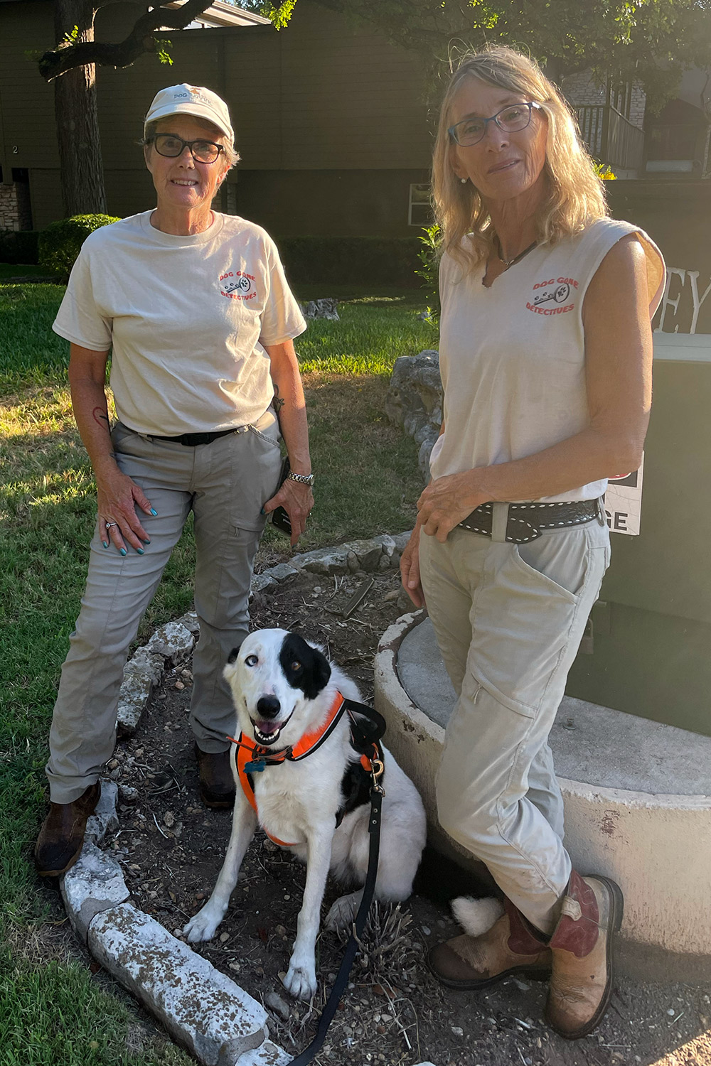 Dog Gone Detectives tracking search