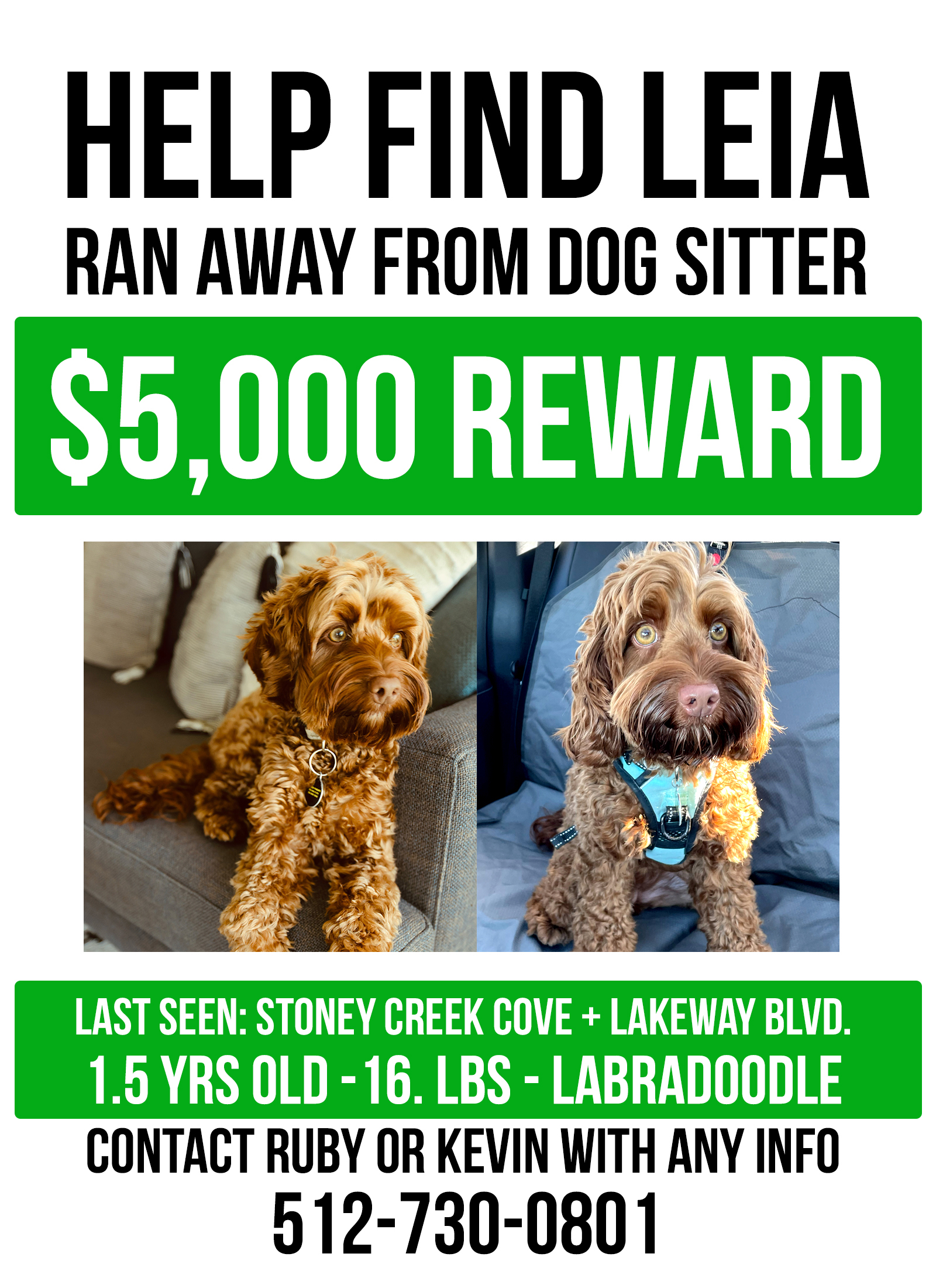 Find Leia missing dog flyer