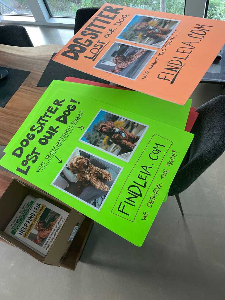 Leia poster held at a Lakeway community event
